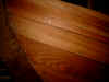 ege1.jpg (81920 byte)